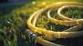 Yellow hose-pipe lying on a green grass. Sunny weather and morning dew droplets. Royalty Free Stock Photo