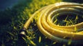 Yellow hose-pipe lying on a green grass. Sunny weather and morning dew droplets.