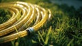 Yellow hose-pipe lying on a green grass. Sunny weather and morning dew droplets.