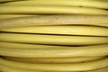 Yellow hose reel
