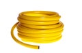 The yellow hose on a white background (isolated).