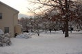 Winter Home and Yard Scene covered with Snow