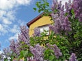 Yellow house with lilacs Royalty Free Stock Photo