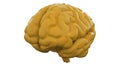 Yellow Human brain on white background. Anatomical Model, 3d illustration Royalty Free Stock Photo