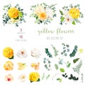 Yellow hydrangea, mustard rose, peony, white iris, orchid, spring garden flowers