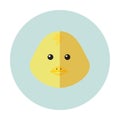 Vector yellow icon of chick bird on blue background illustration Royalty Free Stock Photo