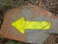 YELLOW INDICATOR ARROW ON ROCK