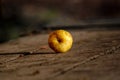 Yellow industrial apple on a wooden background