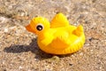 Yellow inflatable duck Royalty Free Stock Photo