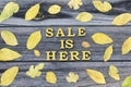 Yellow inscription. Sale is here. Wooden letters. Frame of yellow leaves, wooden background