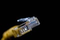 Yellow internet cable close up macro shot Royalty Free Stock Photo