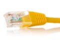 Yellow internet cable isolated on white Royalty Free Stock Photo