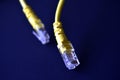 Yellow Internet Cable for Wan and Lan Router Royalty Free Stock Photo