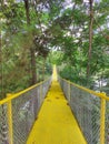 A yellow iron bridge to get to the other side of the lake Royalty Free Stock Photo