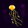 Yellow jelly fish sparkling. Vector illustration on the dark background Royalty Free Stock Photo