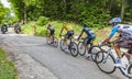 The Yellow Jersey Group - Tour de France 2017