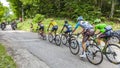 The Yellow Jersey Group - Tour de France 2017