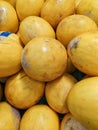 Yellow Juan Canary melons in poor condition. Ugly yellow melons. Closeup of old canary melons.