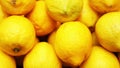 Yellow juicy ripe large lemons