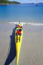 Yellow kayak pulled up on beach on Calvin Island