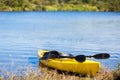 Yellow Kayak Ready to be Used Royalty Free Stock Photo