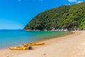 Yellow kayaks at Onetahuti beach at Abel Tasman national park in New Zealand