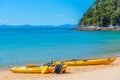 Yellow kayaks at Onetahuti beach at Abel Tasman national park in New Zealand