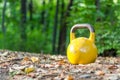 Yellow old heavy kettlebell weight as gym equipment in the forest. Royalty Free Stock Photo