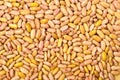 Yellow kidney beans background, texture Royalty Free Stock Photo