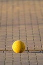 Yellow Kids Ball Lies on a Paved Place