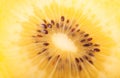 Yellow kiwi