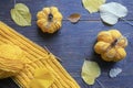 Yellow knitted pumpkins, unfinished knitting and yellow autumn leaves on rustic table