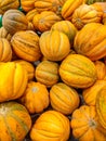 Yellow Korean melon in the supermarket. Summer fruit. Royalty Free Stock Photo