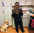 A yellow lab begging her owner for food in the kitchen during dinner. She is sitting right beside the woman, pleading with her ey Royalty Free Stock Photo