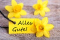 Yellow Label with Alles Gute