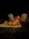 Yellow Labrador retriever relaxing on an dog bad in front of the outdoor fire pit Royalty Free Stock Photo