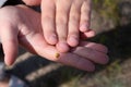 Yellow ladybug crawling on child`s hand Royalty Free Stock Photo