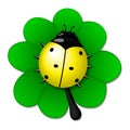 Yellow ladybug on green leave Royalty Free Stock Photo