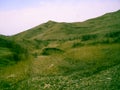 Yellow landscape log stone green hill Royalty Free Stock Photo