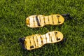 Yellow lawn aerator sandals with nails for lawn cultivation. Royalty Free Stock Photo