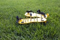 Yellow lawn aerator sandals with nails for lawn cultivation. Royalty Free Stock Photo