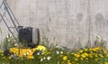 Yellow lawn mower stands near concrete wall with unshorn lawn, overgrown with weeds and wildflowers on a summer sunny day. Illustr