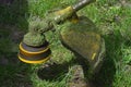 this is a yellow lawnmower mowing green grass in spring Royalty Free Stock Photo