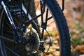 Yellow leaf on a bicycle wheel