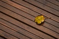 A yellow leaf on a boardwalk