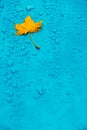 Yellow leaf and drops on the blue waterproof material