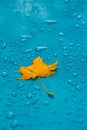 Yellow leaf and drops on the blue waterproof material