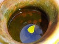 yellow leaf inside water in antique vase