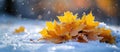 Yellow Leaf Resting in Snow Royalty Free Stock Photo