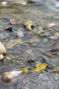 Yellow leaf in a river Royalty Free Stock Photo